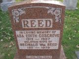 image of grave number 215328